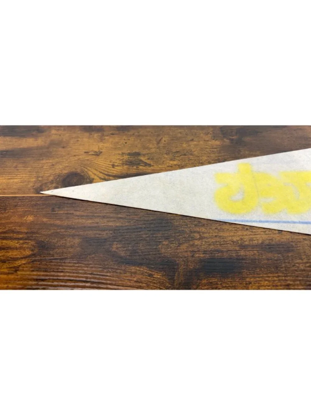Vintage Denver Nuggets NBA Pennant With Skyline Logo & Rainbow Design